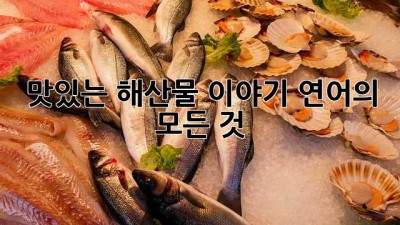 맛있는 해산물 이야기: 연어의 모든 것